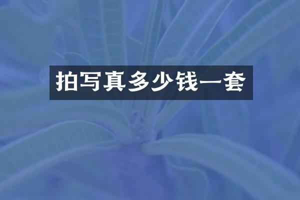 拍写真多少钱一套