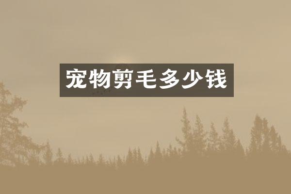 宠物剪毛多少钱