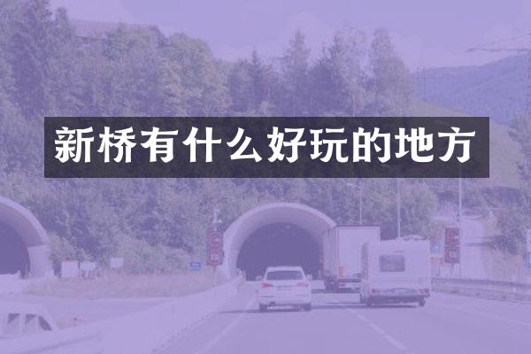 新桥有什么好玩的地方