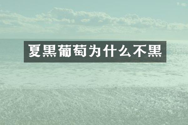 夏黑葡萄为什么不黑