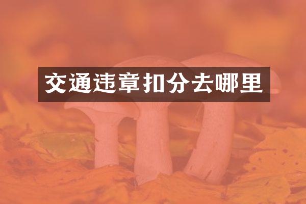 交通违章扣分去哪里