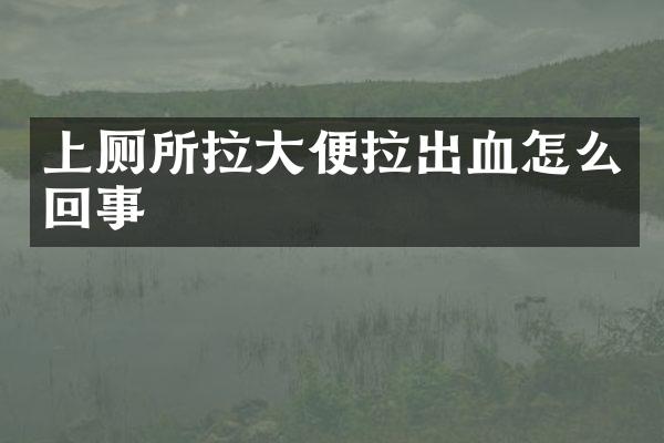 上厕所拉大便拉出血怎么回事