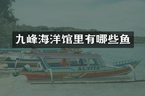 九峰海洋馆里有哪些鱼