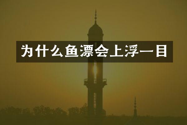 为什么鱼漂会上浮一目