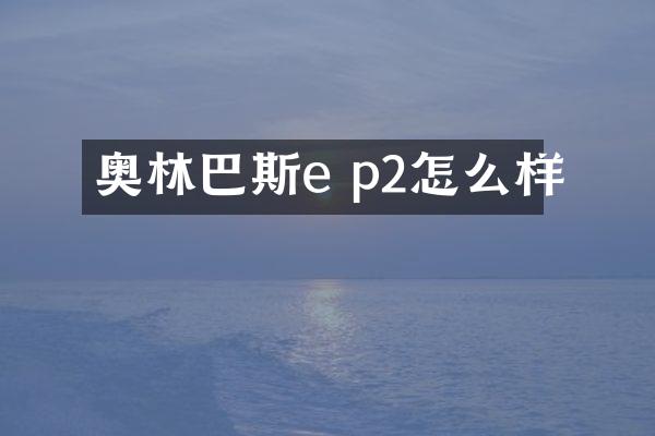 奥林巴斯e p2怎么样