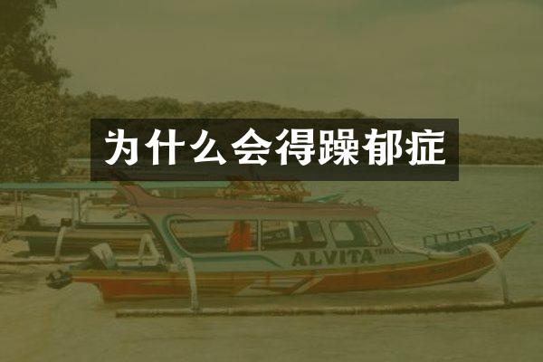 为什么会得躁郁症