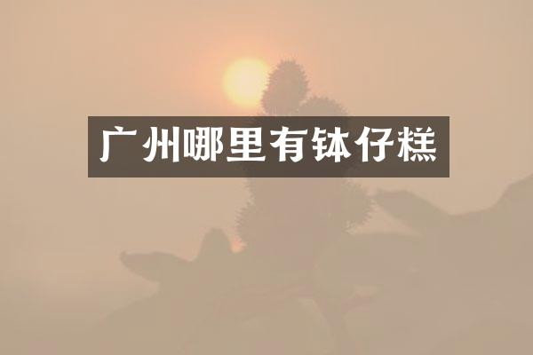 广州哪里有钵仔糕