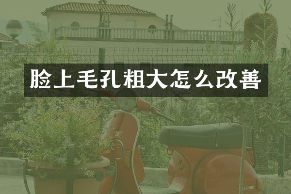 脸上毛孔粗大怎么改善