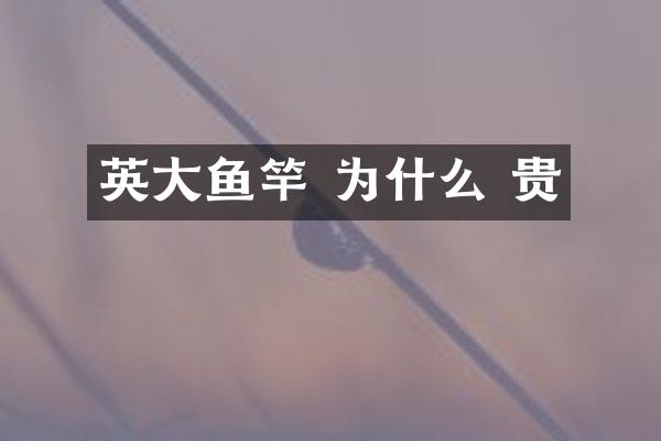 英大鱼竿 为什么 贵