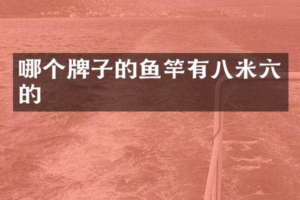 哪个牌子的鱼竿有八米六的