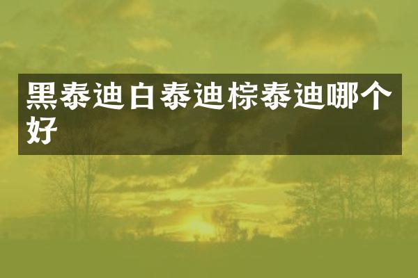 黑泰迪白泰迪棕泰迪哪个好