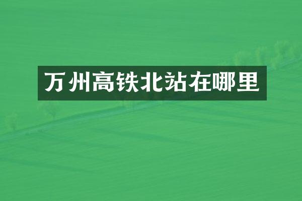 万州高铁北站在哪里