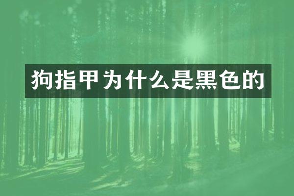 狗指甲为什么是黑色的