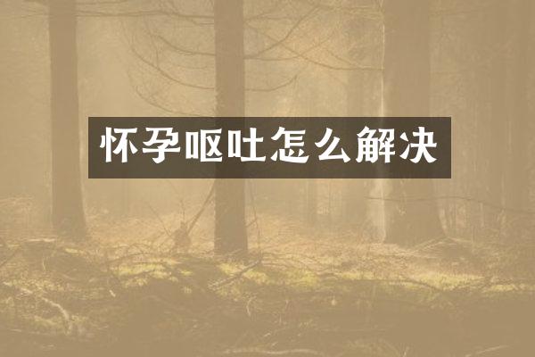 怀孕呕吐怎么解决