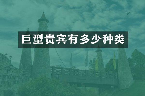 巨型贵宾有多少种类