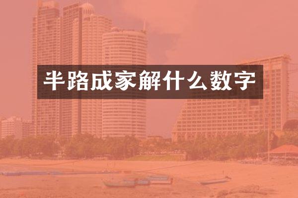 半路成家解什么数字