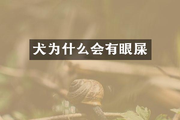 犬为什么会有眼屎