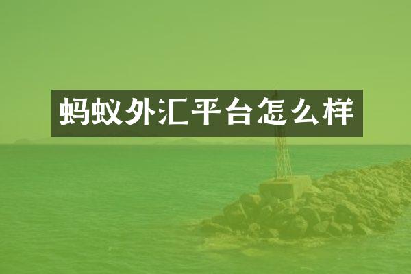 蚂蚁外汇平台怎么样