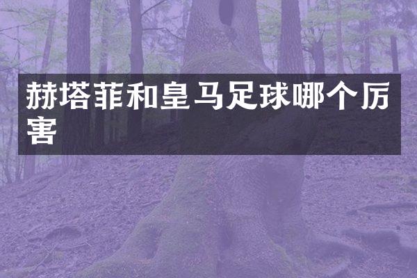 赫塔菲和皇马足球哪个厉害