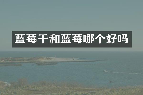 蓝莓干和蓝莓哪个好吗