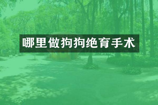 哪里做狗狗绝育手术