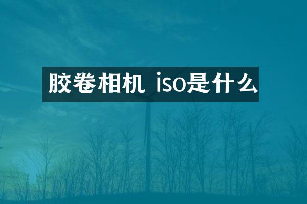 胶卷相机 iso是什么