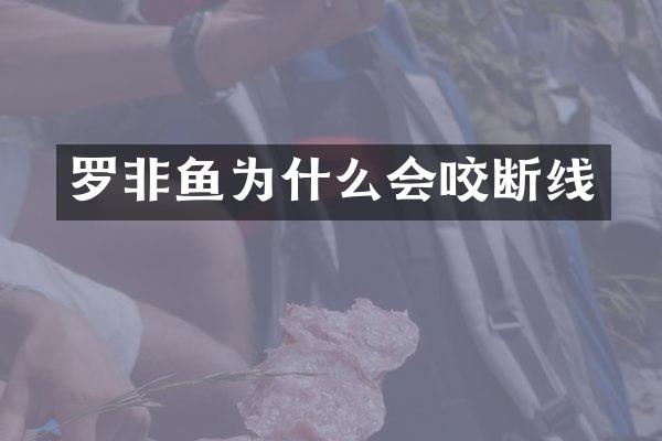 罗非鱼为什么会咬断线