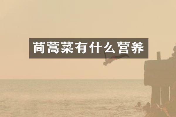 茼蒿菜有什么营养
