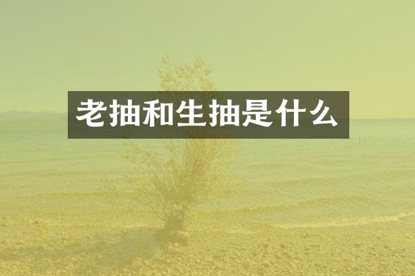 老抽和生抽是什么