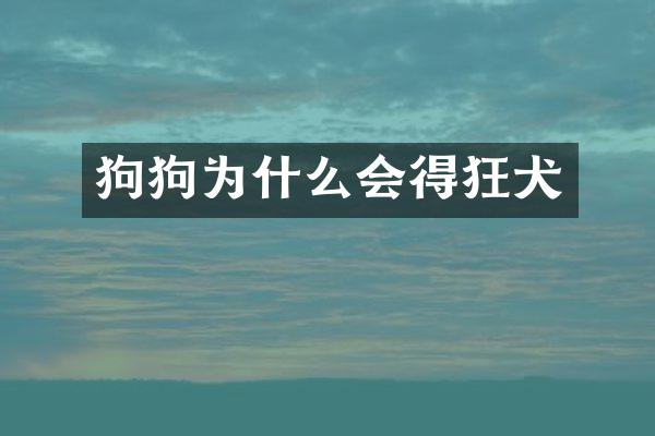 狗狗为什么会得狂犬