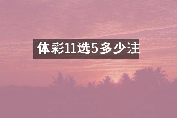体彩11选5多少注