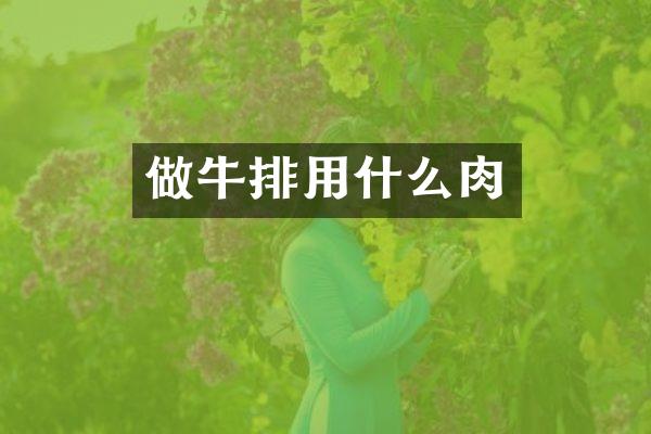 做牛排用什么肉