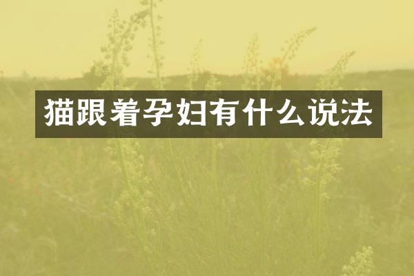 猫跟着孕妇有什么说法