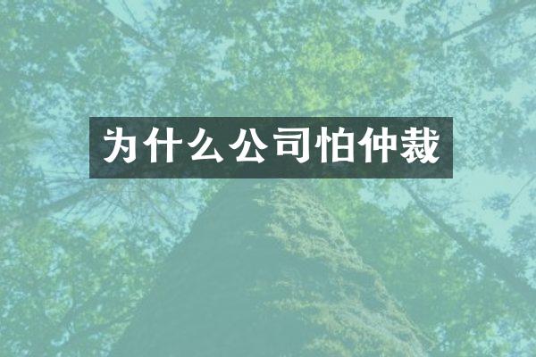 为什么公司怕仲裁