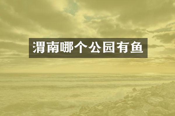 渭南哪个公园有鱼