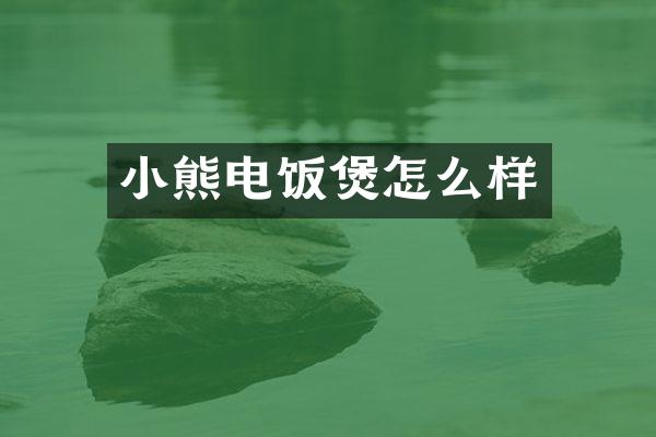 小熊电饭煲怎么样
