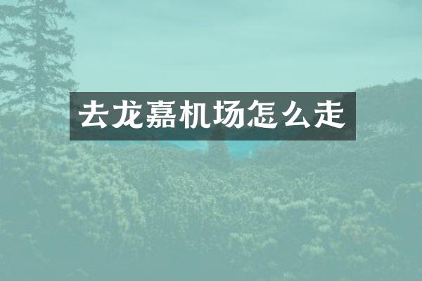 去龙嘉机场怎么走
