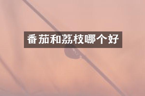 番茄和荔枝哪个好