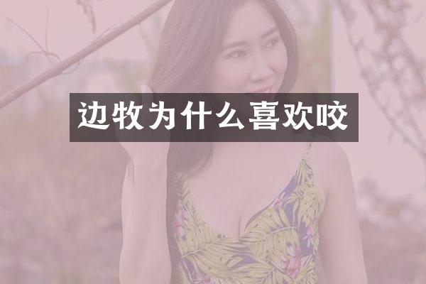 边牧为什么喜欢咬