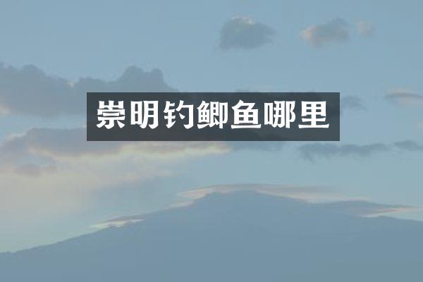 崇明钓鲫鱼哪里