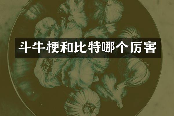 斗牛梗和比特哪个厉害
