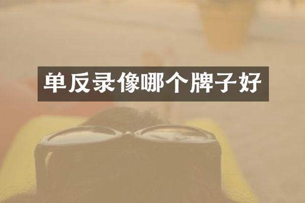 单反录像哪个牌子好