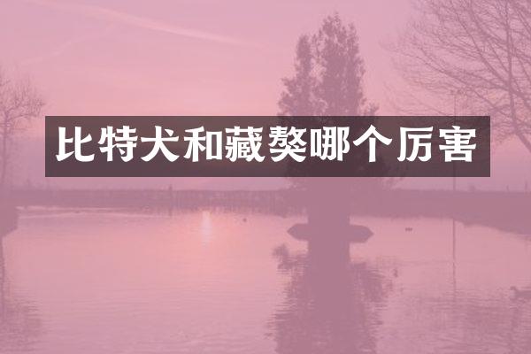 比特犬和藏獒哪个厉害