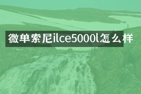 微单索尼ilce5000l怎么样