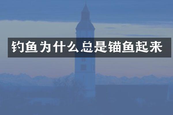 钓鱼为什么总是锚鱼起来