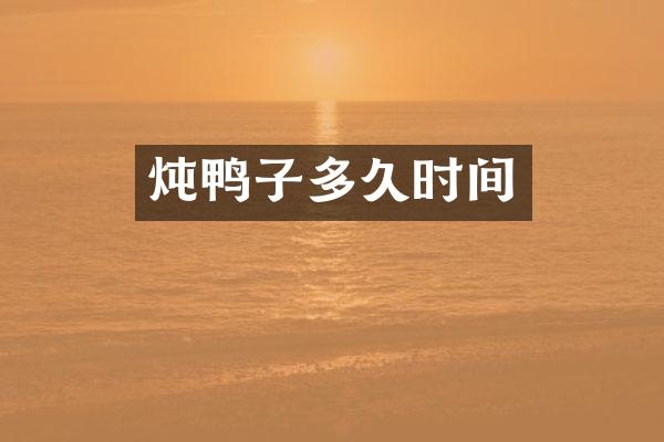 炖鸭子多久时间
