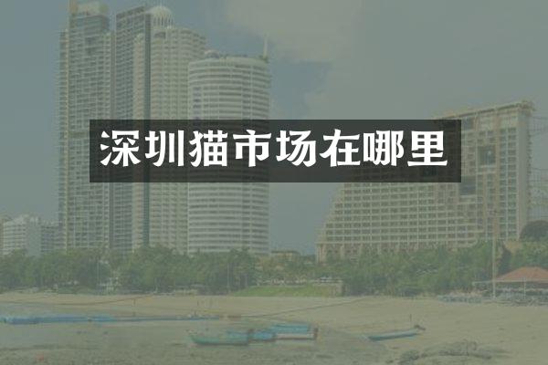 深圳猫市场在哪里