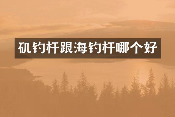 矶钓杆跟海钓杆哪个好