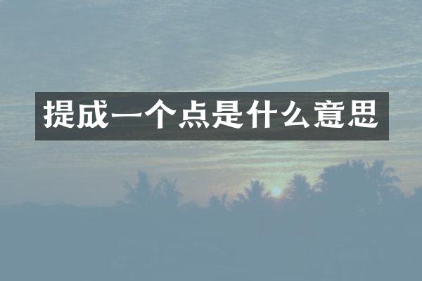 提成一个点是什么意思