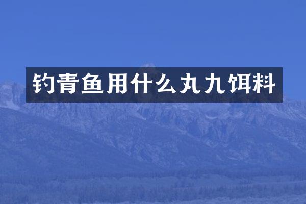钓青鱼用什么丸九饵料